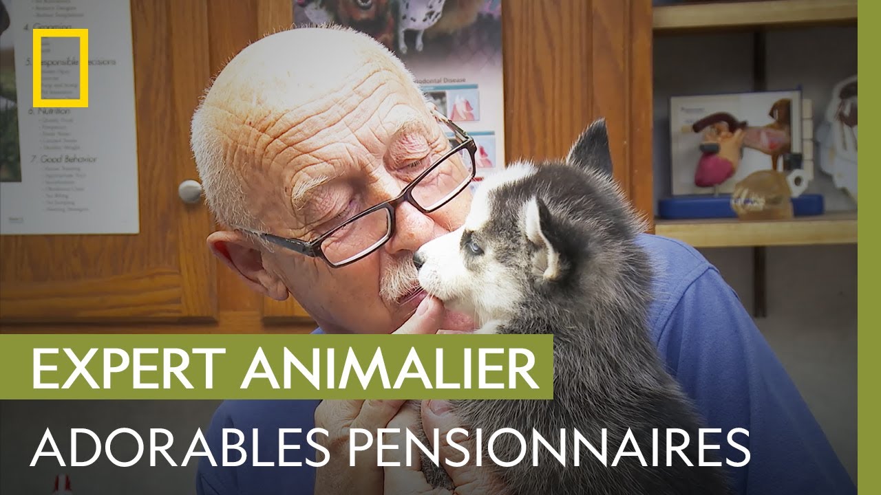 Farandole d'animaux au centre vétérinaire | L'INCROYABLE DR POL : UN ÉPISODE RÉPOLUTIONNAIRE