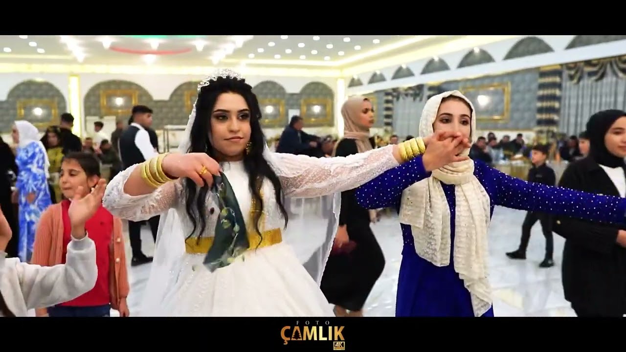 Feridun arkadaş ve ekibi lele kıney  şevko Şanlıurfa foto &ccedil;amlık