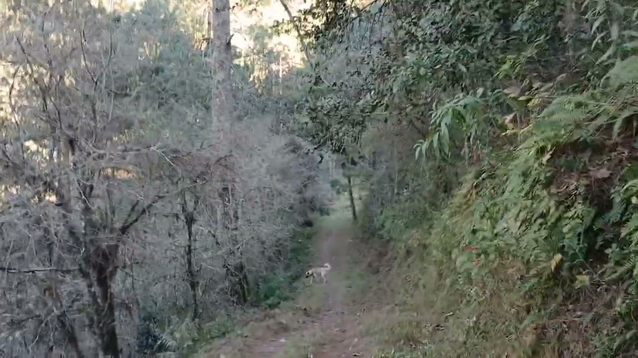 21 de febrero de 2026.  De visita  a nacimiento de agua 