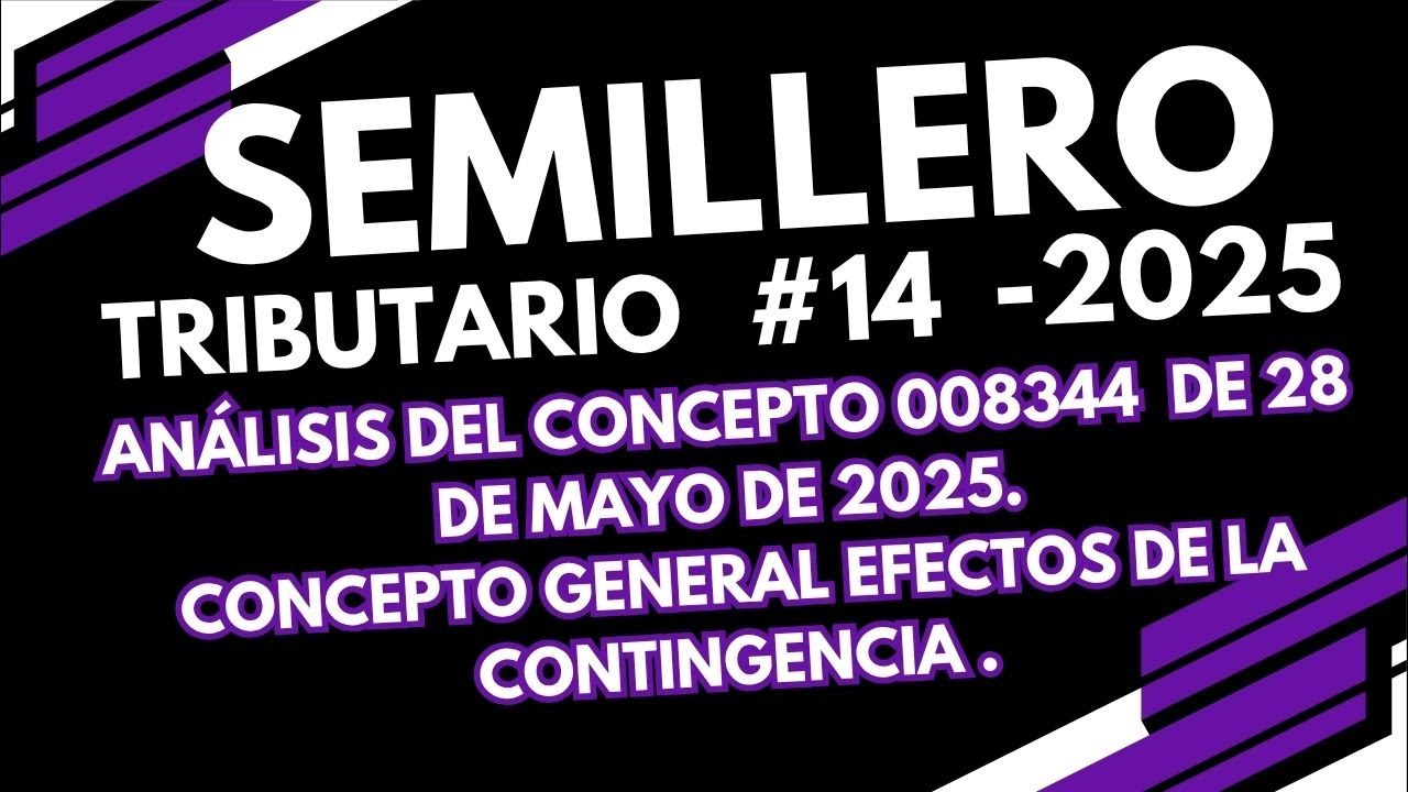 CONTINGENCIA DE LA DIAN. EFECTOS DE LA CONTINGENCIA. Concepto No. 008344 del 28 de mayo de 2025.