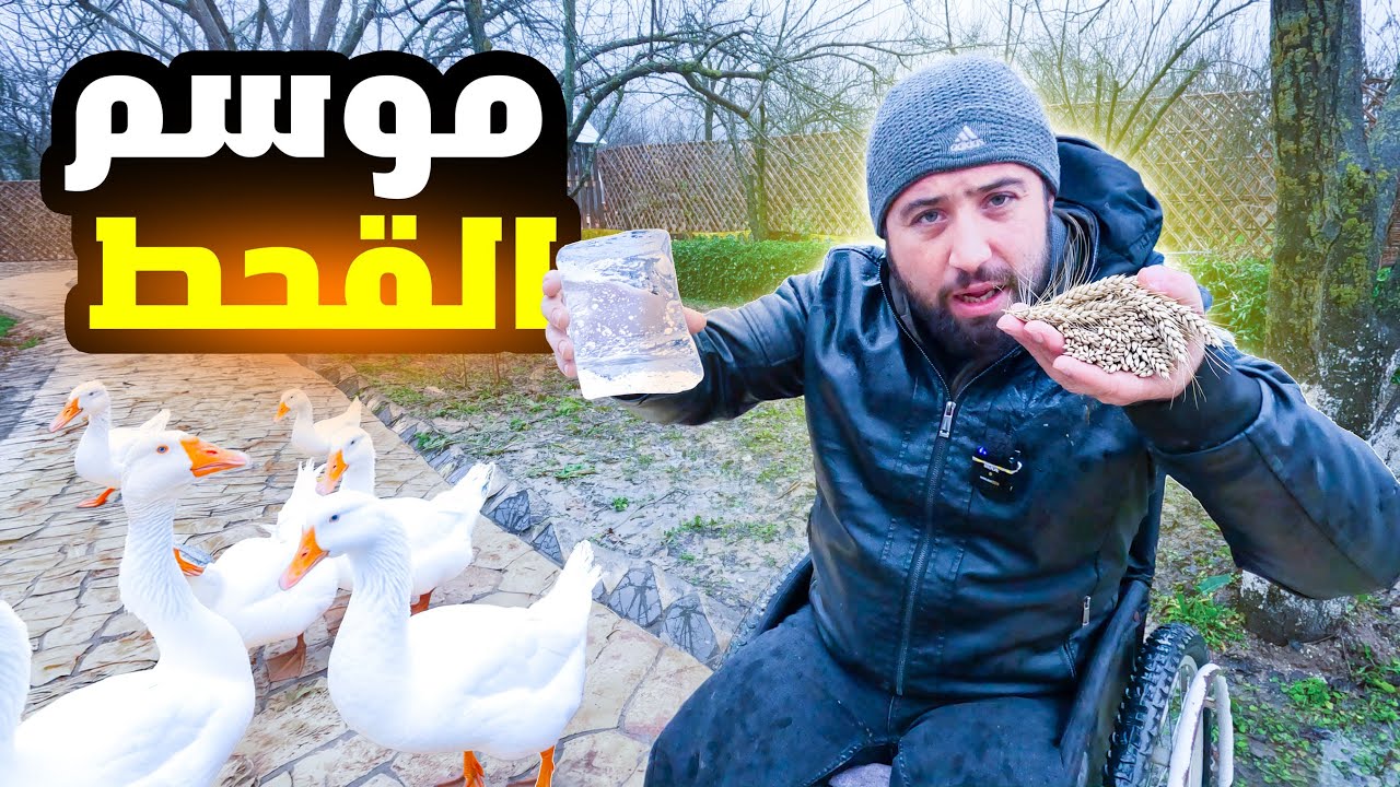 ما مصير الحيوانات في سوريا  بعد هذا الخبر 