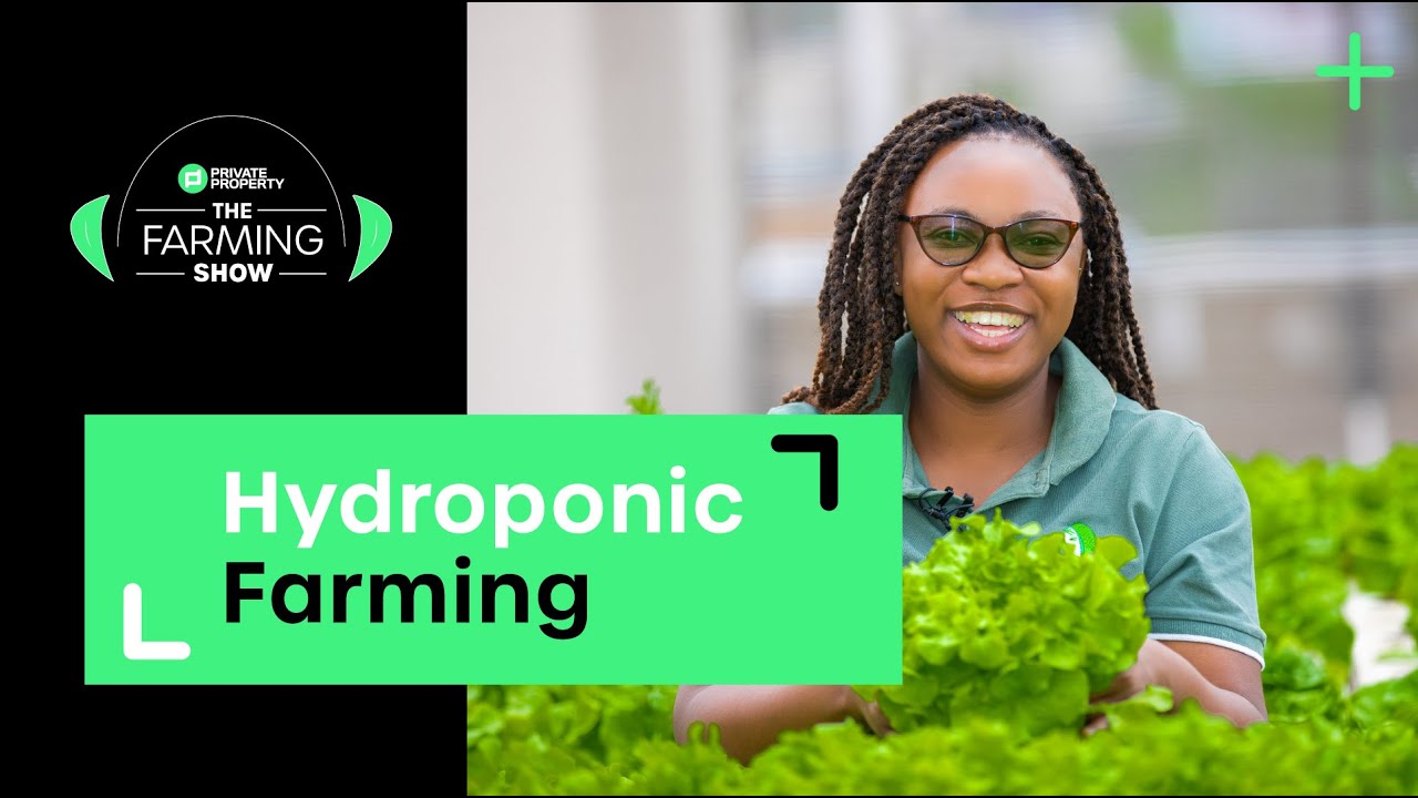 The What and Why of Hydroponic Farming | S2 Ep2
