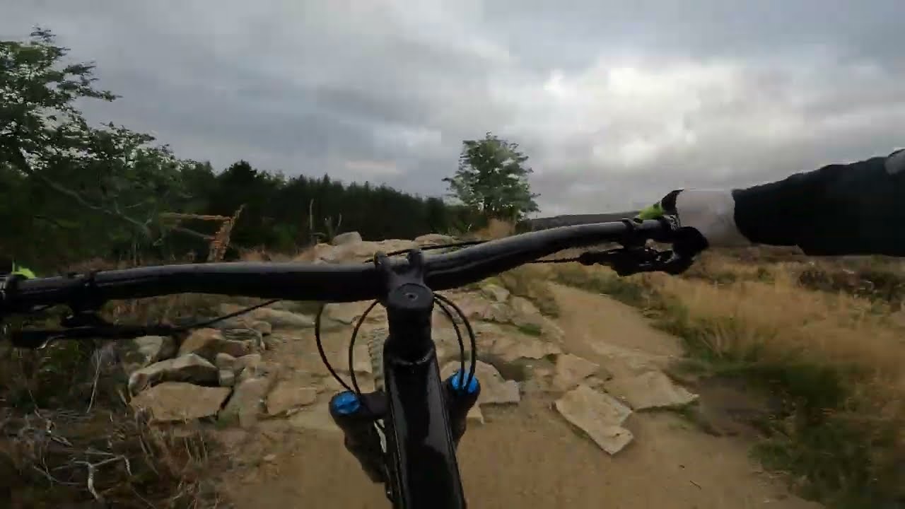 Tarland Trails - Rip Tide & Project Mushroom - Great Additions! - Aug 25