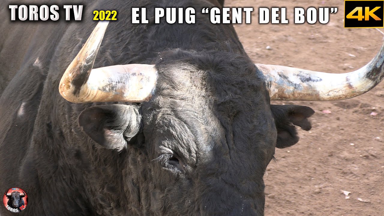 EL PUIG TOROS BRAVOS 2022 