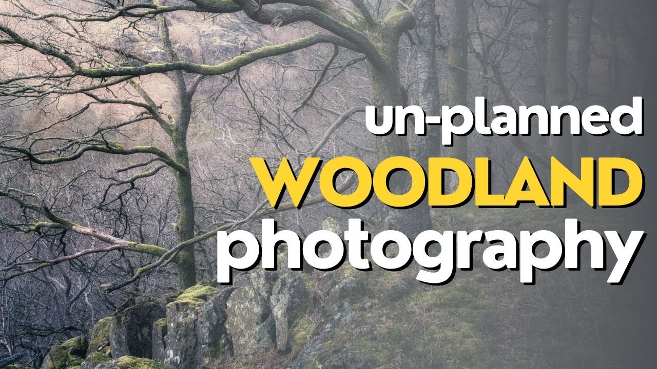 Unplanned Woodland Photography ....