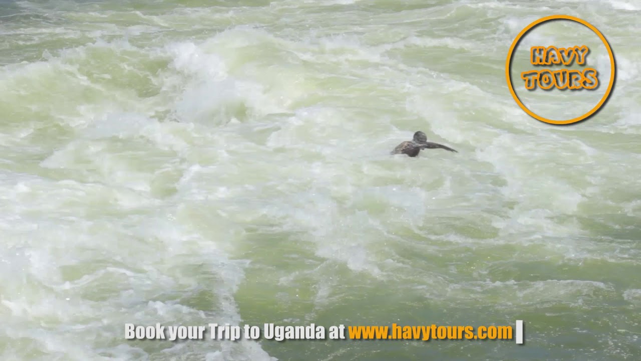 Itanda Falls River Nile Video by Havy Tours