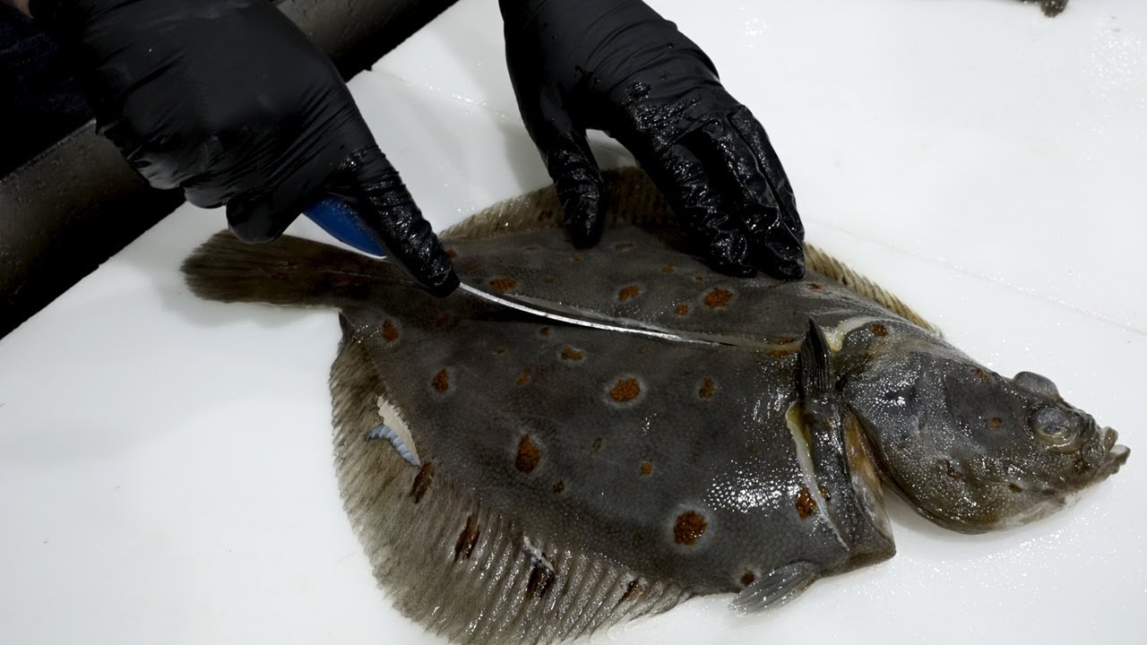 Filetering av flatfisk