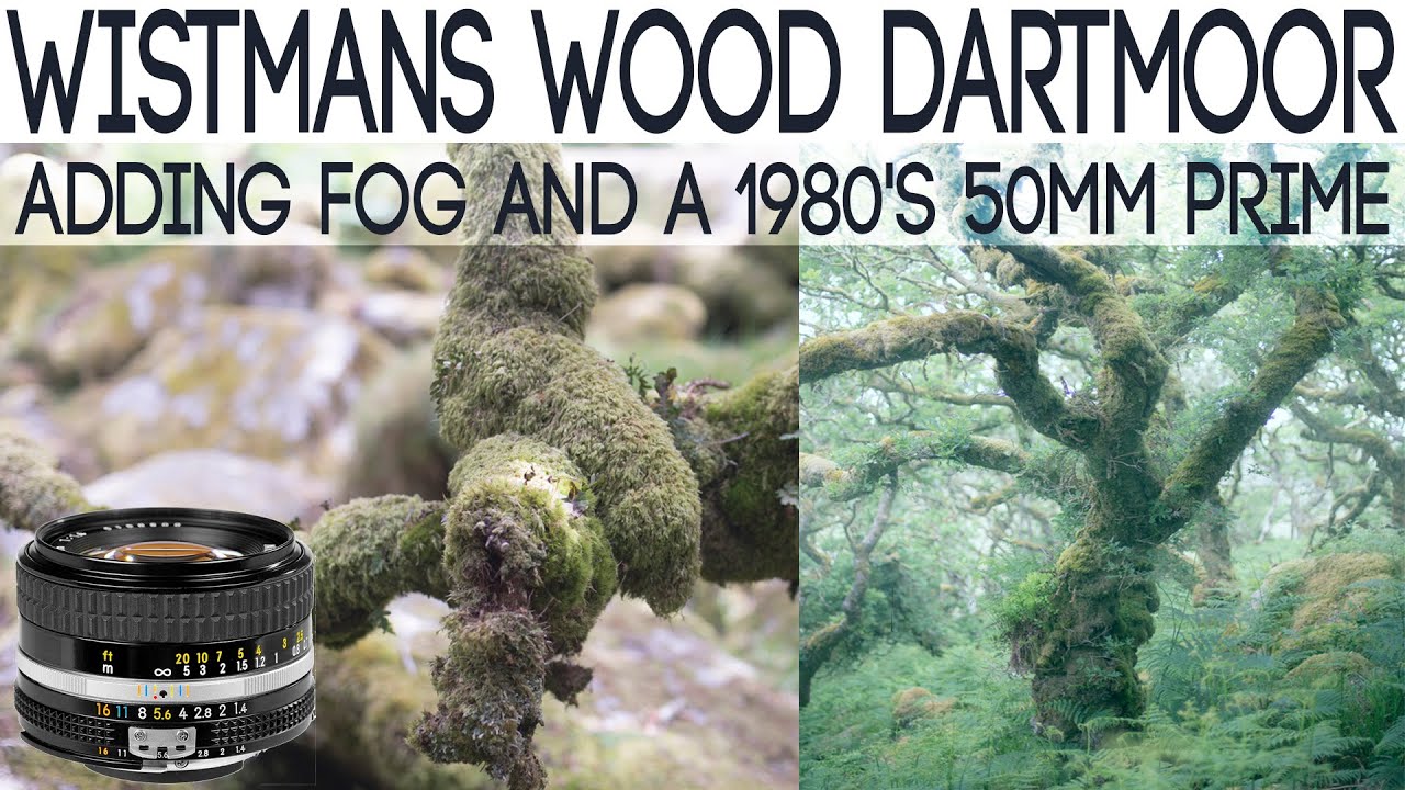 Exploring Dartmoors WISTMANS Wood with a Nikor AIS 50mm LENS | Adding FOG to IMAGES