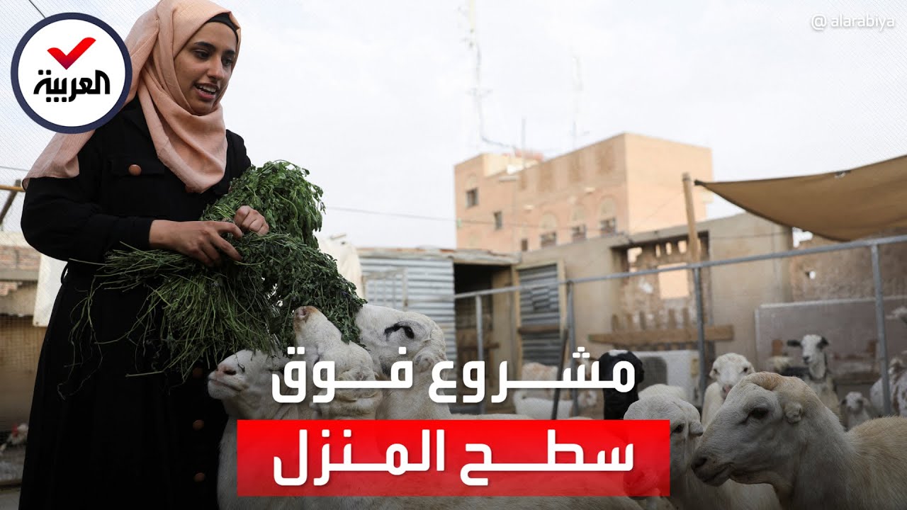 من سطح منزلهما.. شقيقتان توأمان يصنعان منتجات الألبان في اليمن