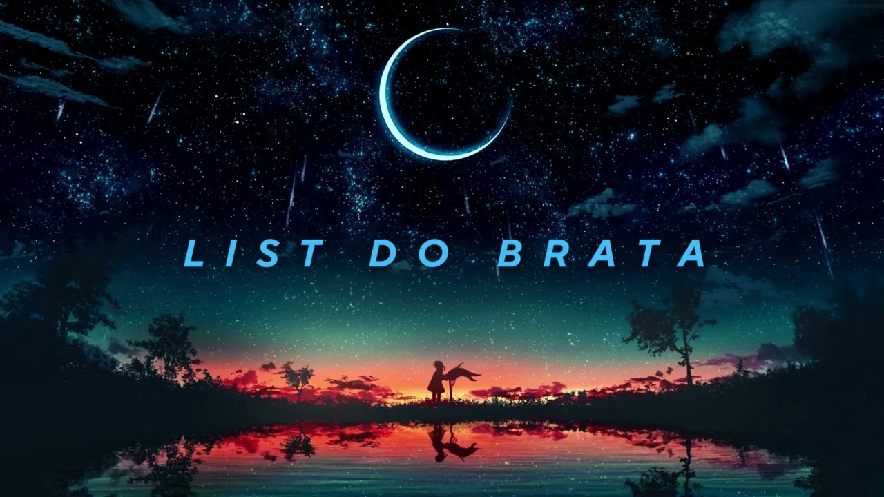 ZPR - LIST DO BRATA