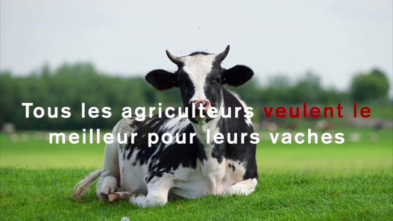 Cowcoon logettes - FR