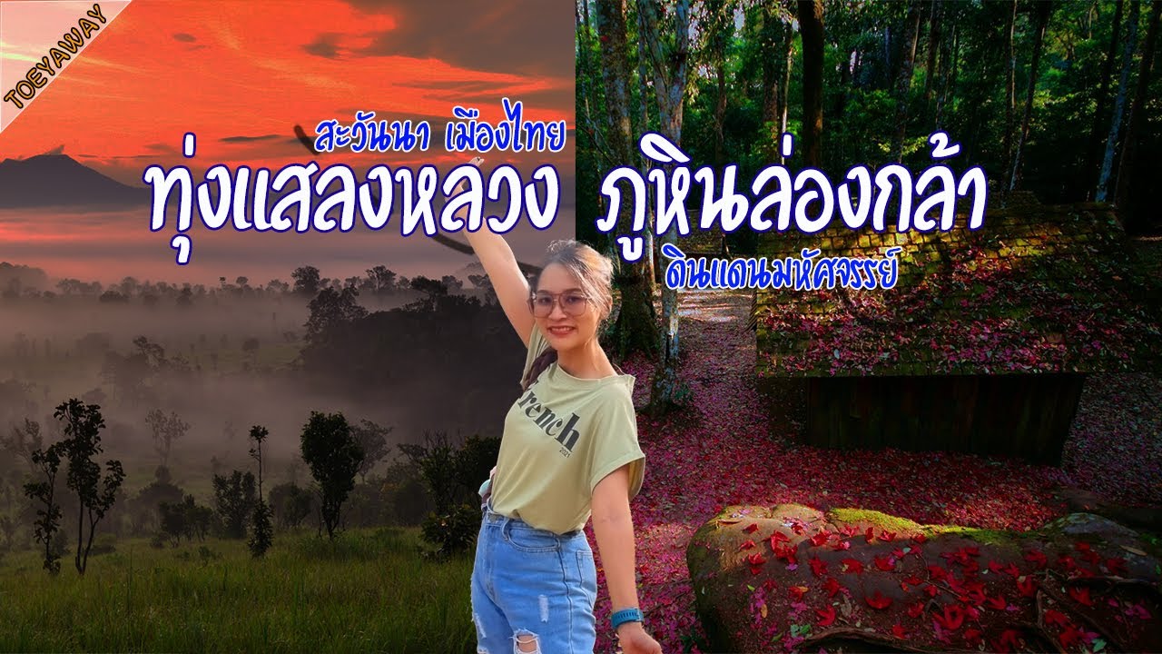 ดอยสีชมพู สะวันนาเมืองไทย ดินแดนมหัศจรรย์ ทุ่งแสลงหลวง ภูหินร่องกล้า - ToeyAway