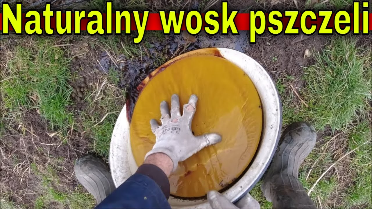 Jak powstaje wosk? Farmerska technologia przetapiania wosku pszczelego.