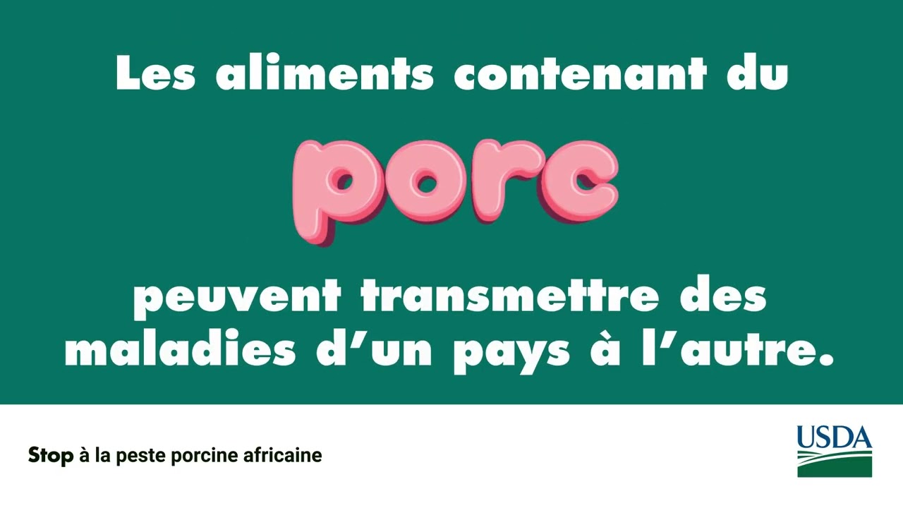 Stop à la peste porcine africaine