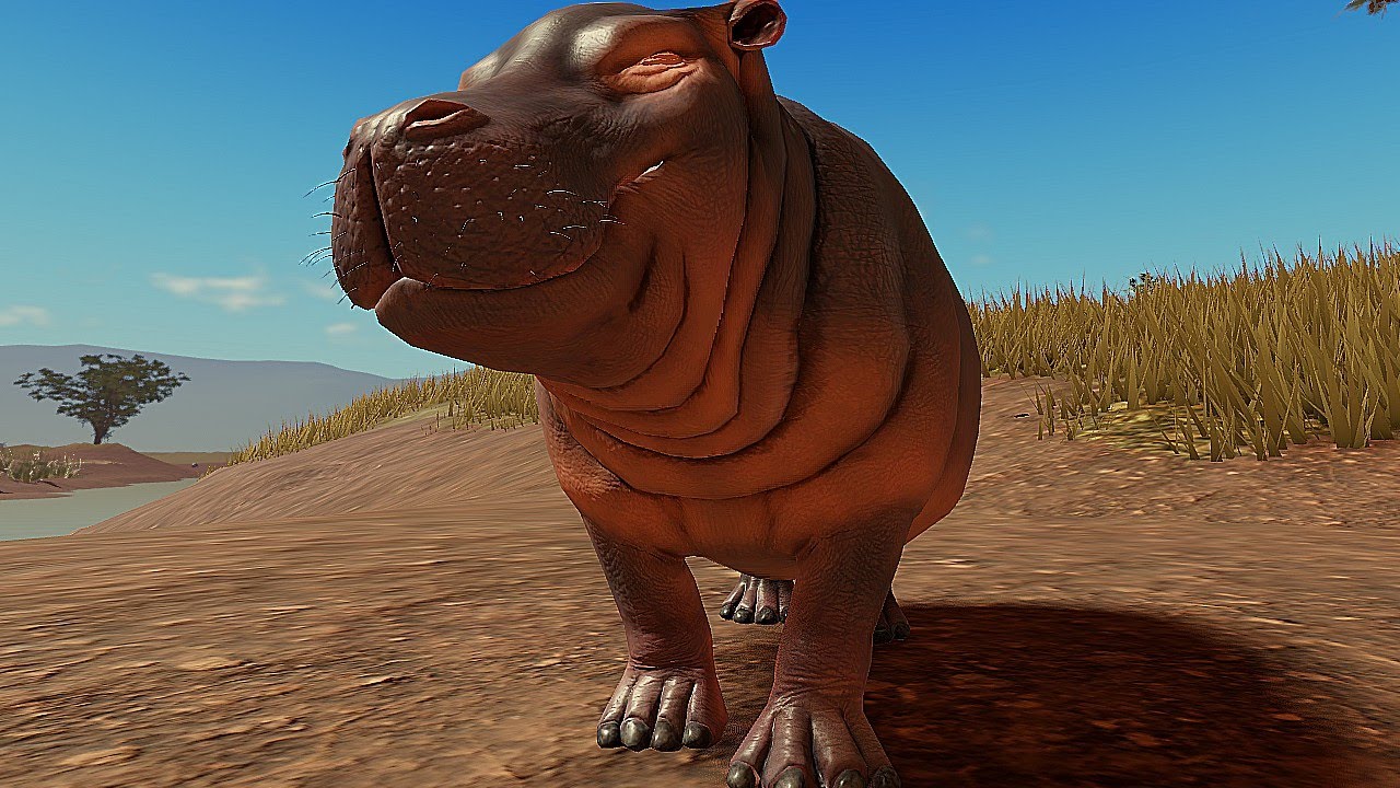 SOZINHO EM UMA NOVA JORNADA com HIPOPÓTAMO! no Savannah Life ROBLOX