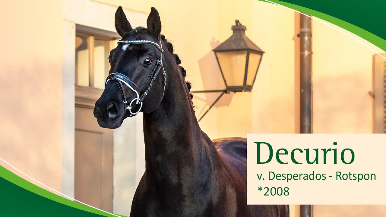 DECURIO v. Desperados - Rotspon