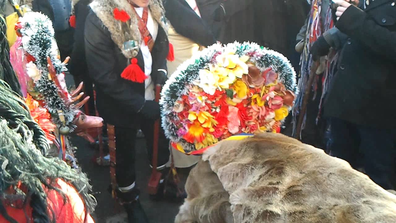 cerbul de la carjoaia 2013 cel mai tare cerb