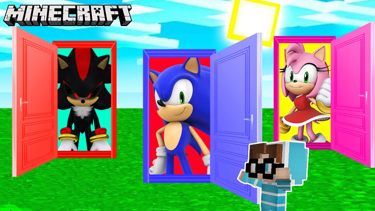 WÄHLE NICHT DIE FALSCHE SONIC TÜR in MINECRAFT!