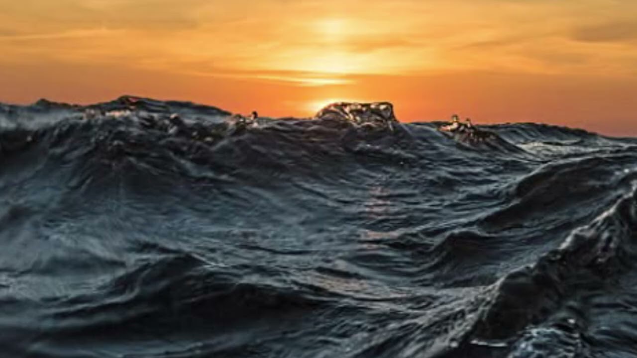 Beach Of Sadness
