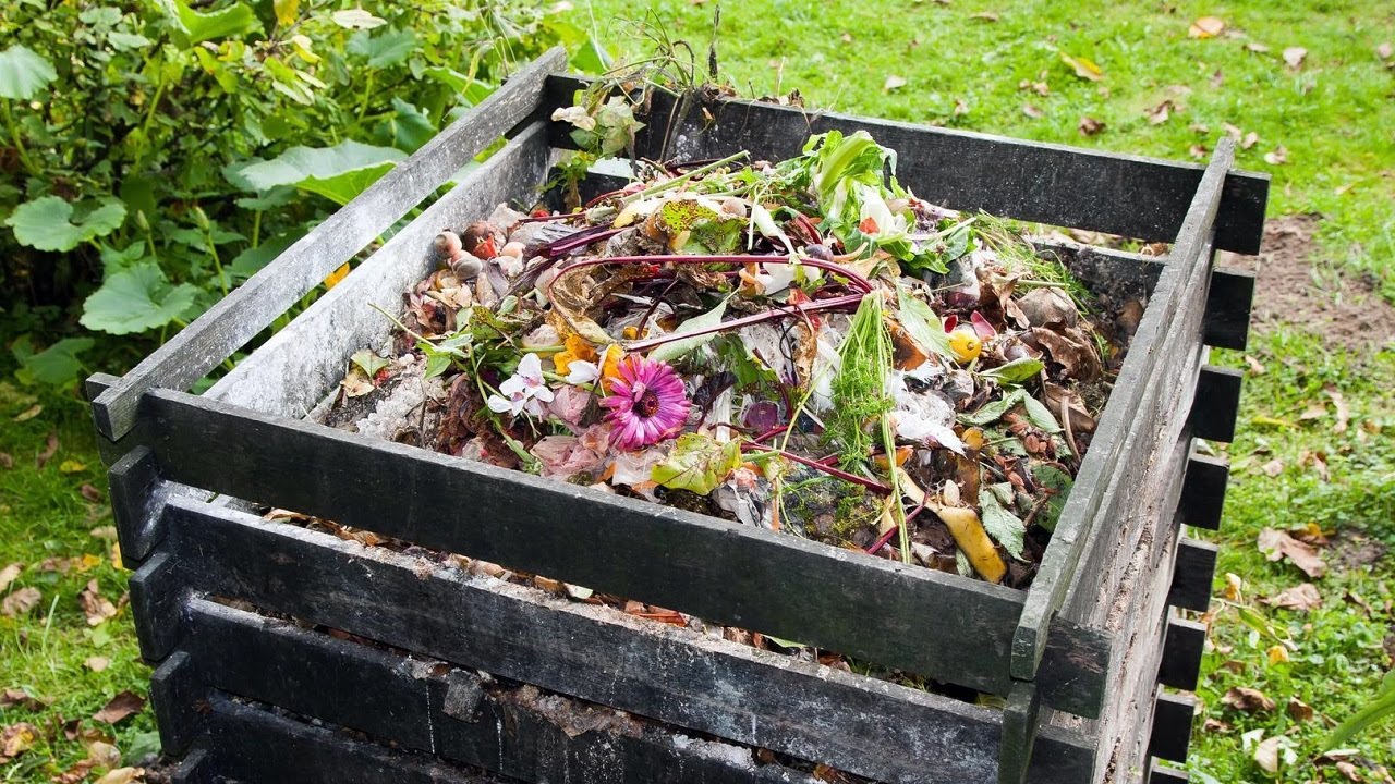 🦟 Moscos en TU Compost  NUNCA MÁS / Cómo eliminar las moscas de tu HUERTA 🌱