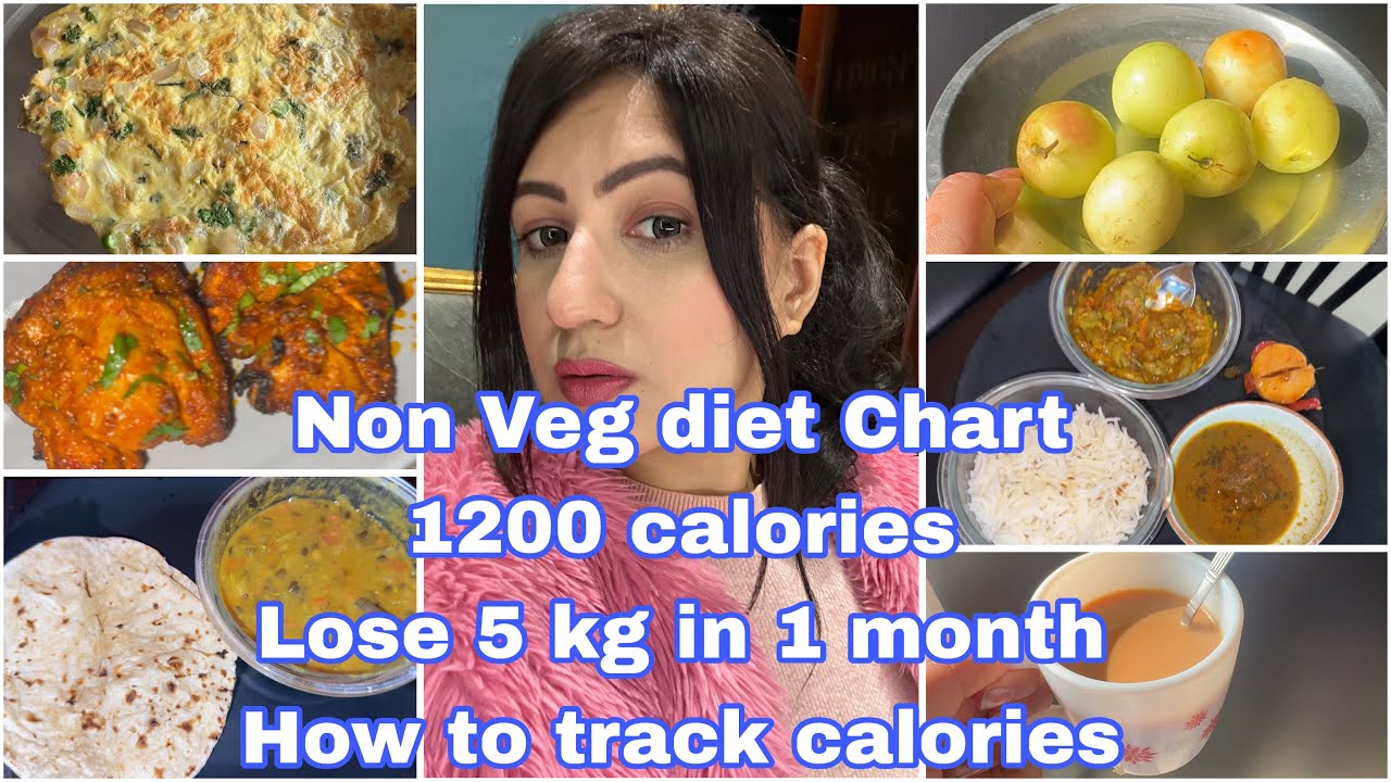 Lose 5 Kg in 1 month with this diet | How I track 1200 calories on healthify me | Non Veg Diet Plan