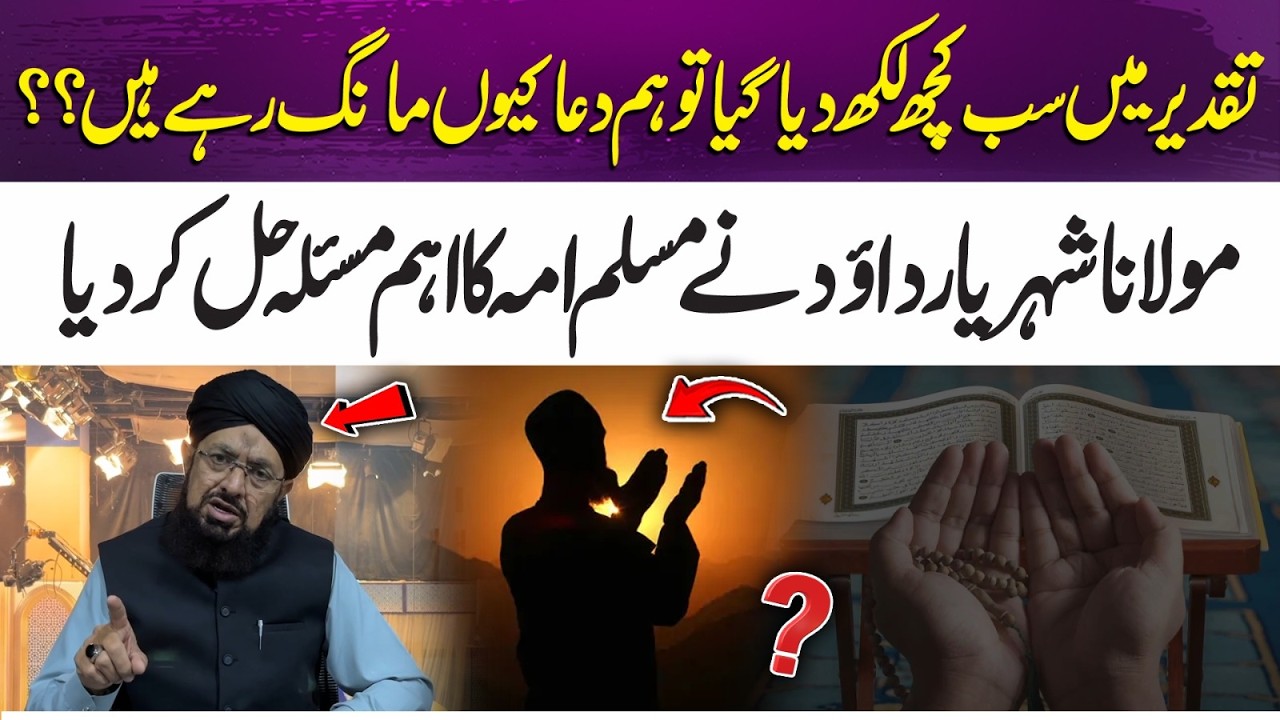If Everything Is Written in Destiny, Why Do We Pray? | Molana Shehryar Explains | 365 Plus