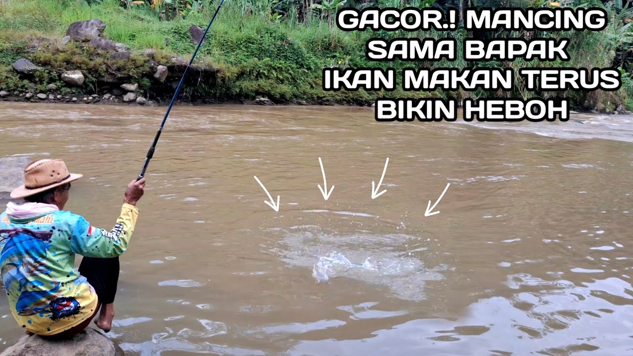 Mancing Sama Bapak Ikan Makan Terus Bikin Heboh 
