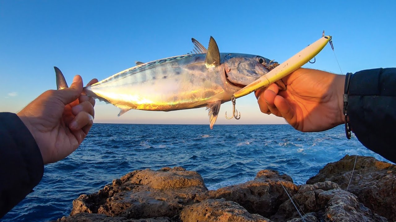 Spinning ai VELOCI PREDATORI pelagici: LAMPUGHE e TONNETTI ALLETTERATI
