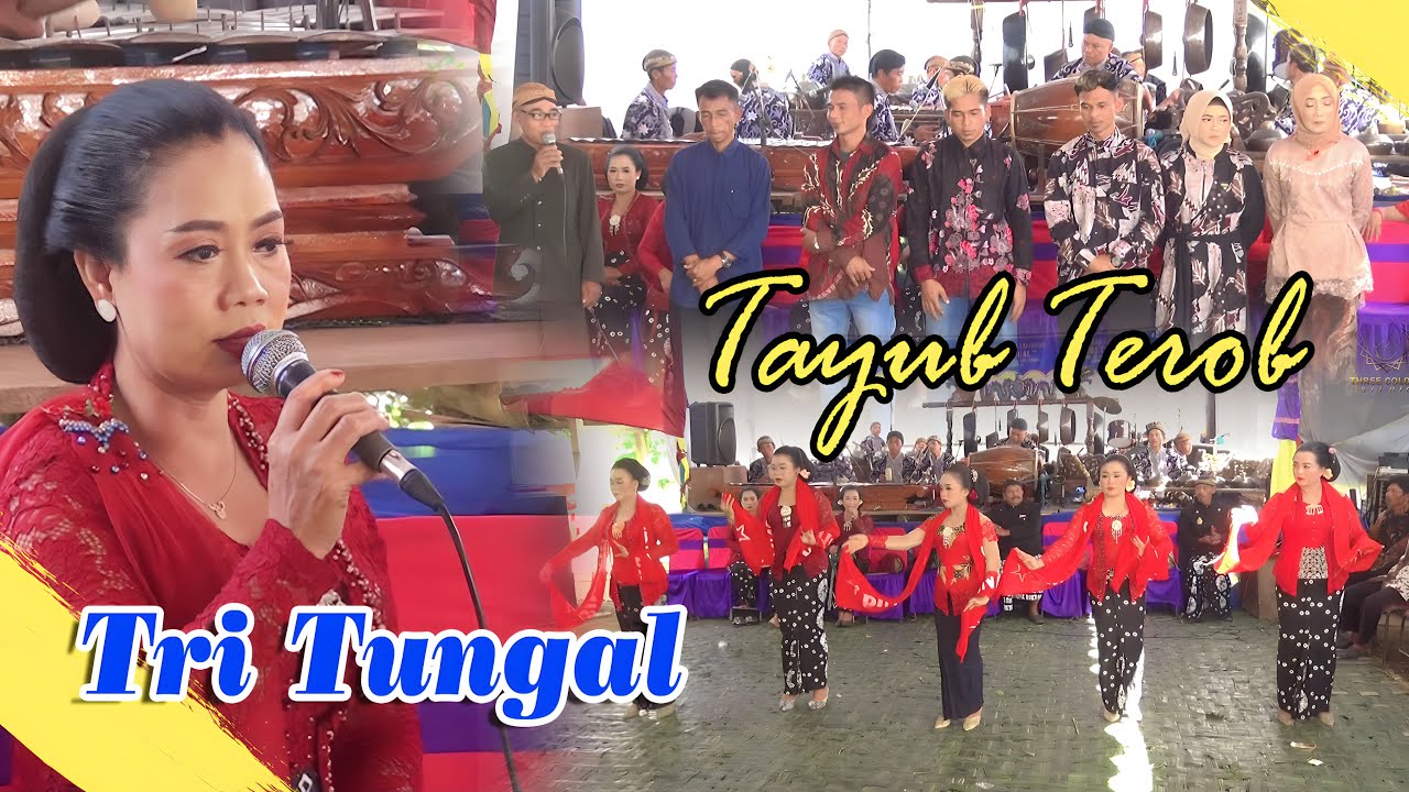 Langen Tayub 