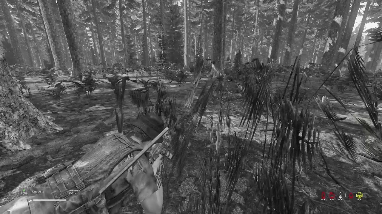 Live Dayz #dayz #ps5 #jeu #live