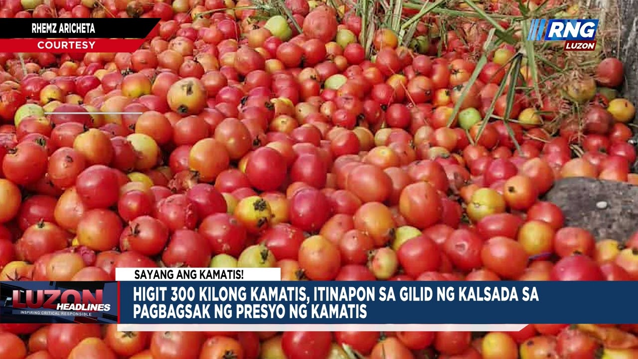 Higit 300 kilong kamatis, itinapon sa gilid ng kalsada sa pagbagsak ng presyo ng kamatis