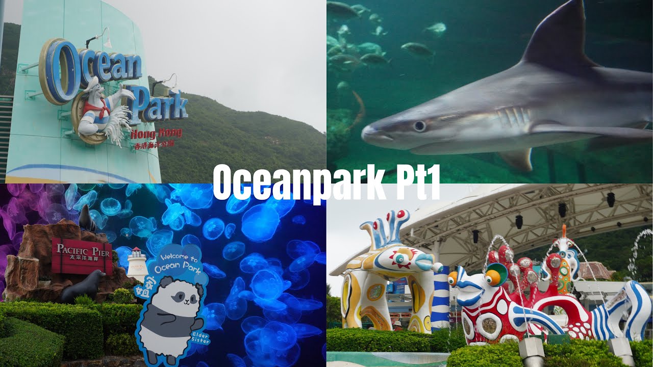 Hongkong diaries #4: Oceanpark pt1