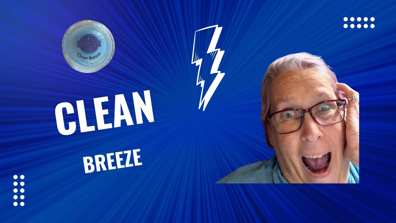 Clean Breeze Scentsy Bar