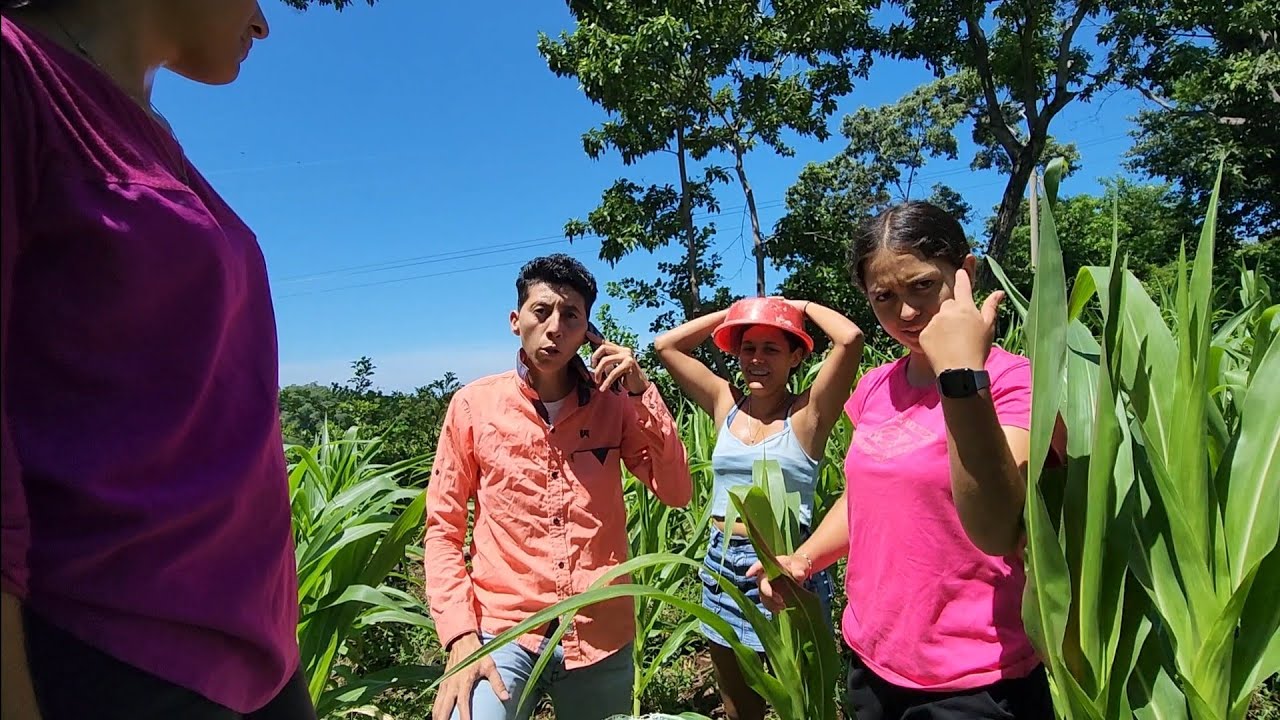 En tremendo problema se metió el grupo  y le llaman al loro y esta es la única solución que les da😱🤬