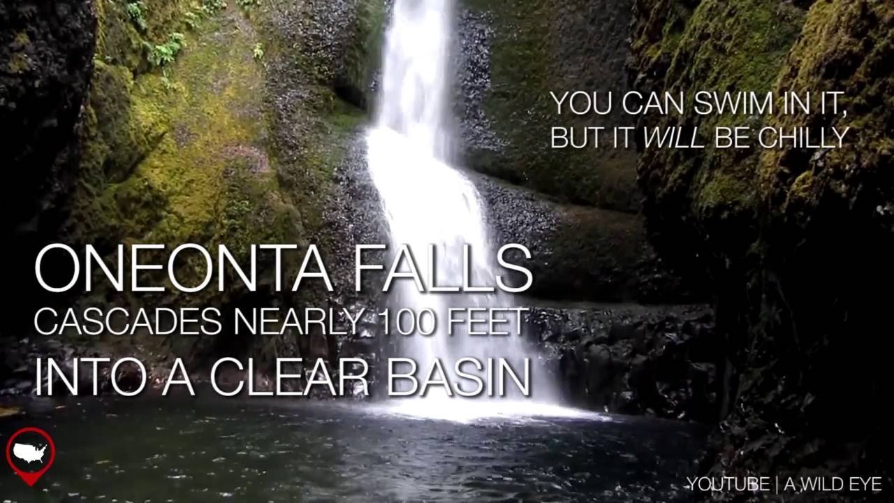 The Oneonta Gorge Hike Ends In An Unforgettable Way