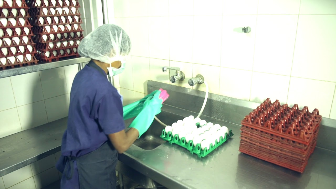 Sodexo Quality of life services
