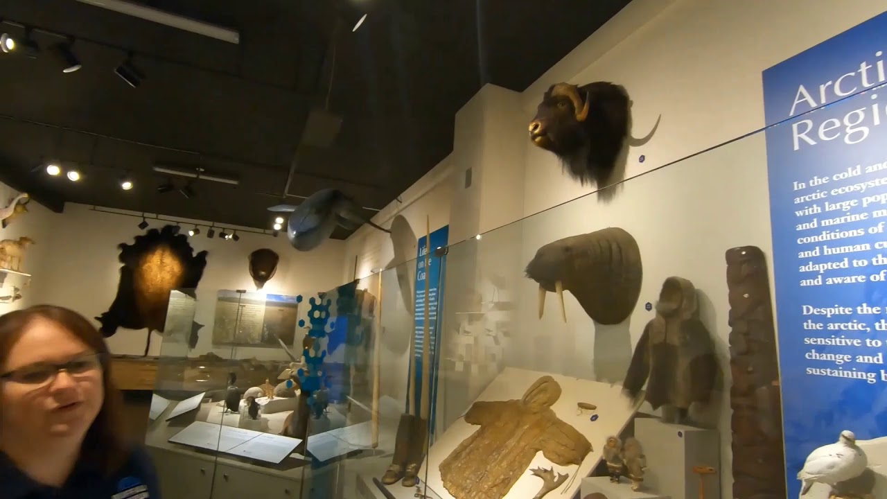 Buffalo Museum of Science Virtual Tour: Biodiversity