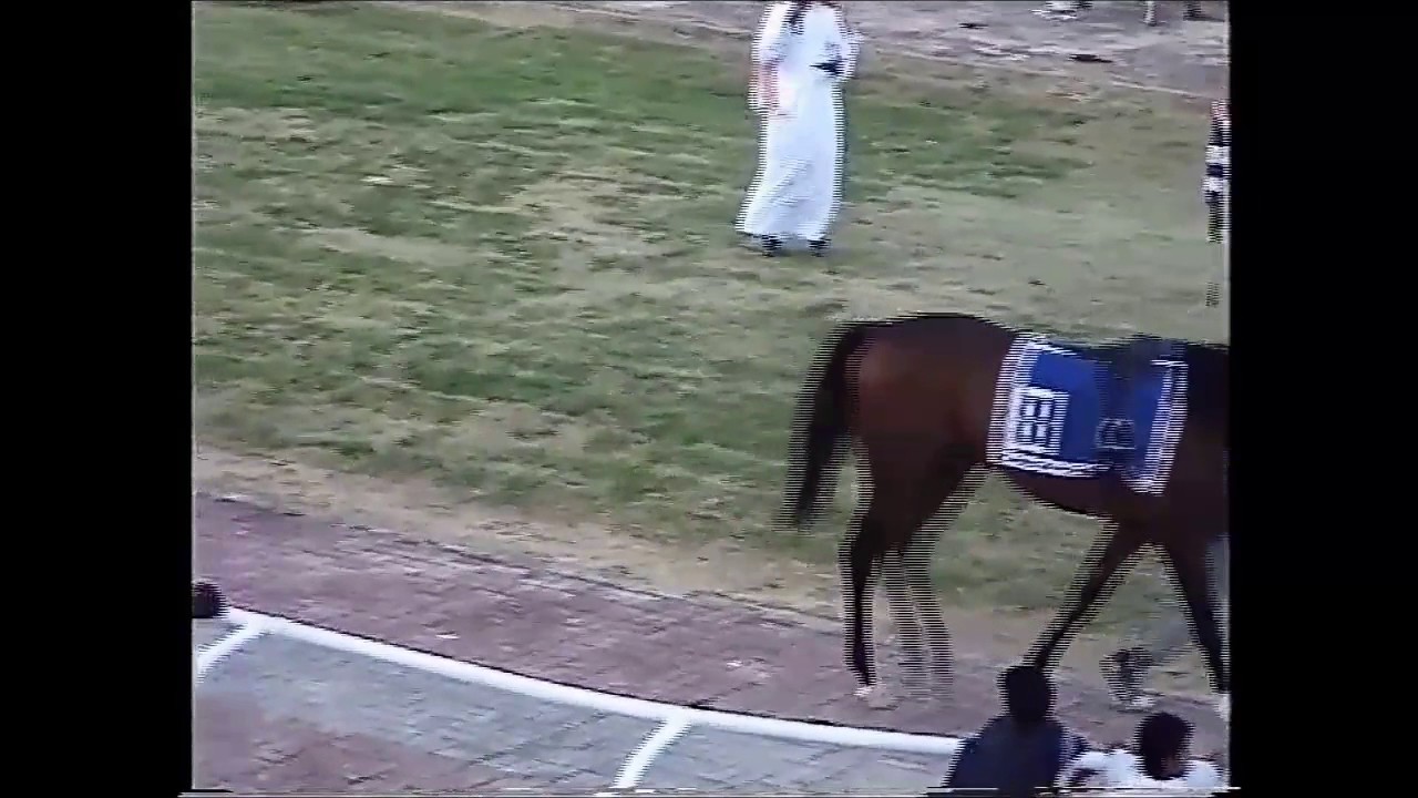 ميدان الفروسية بالأحساء لعام 1430ه فوز الجواد (نجم مليار)