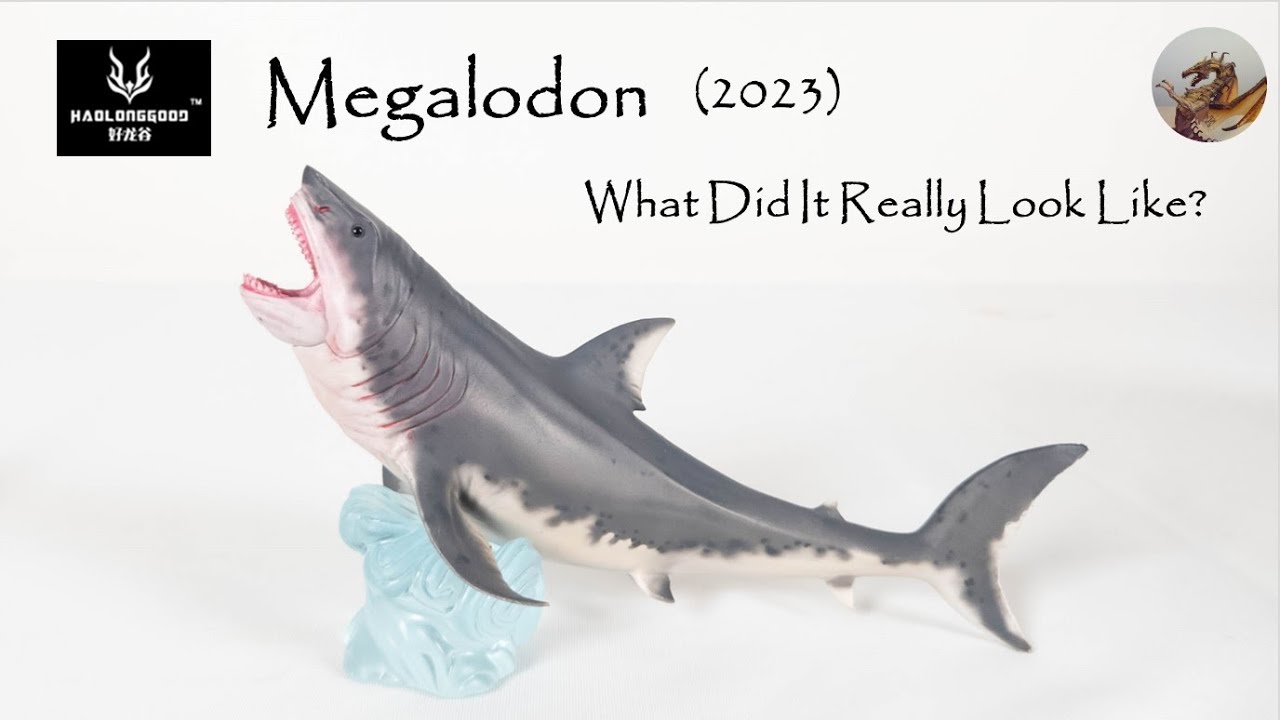 259: Haolongood Megalodon (2023) Review