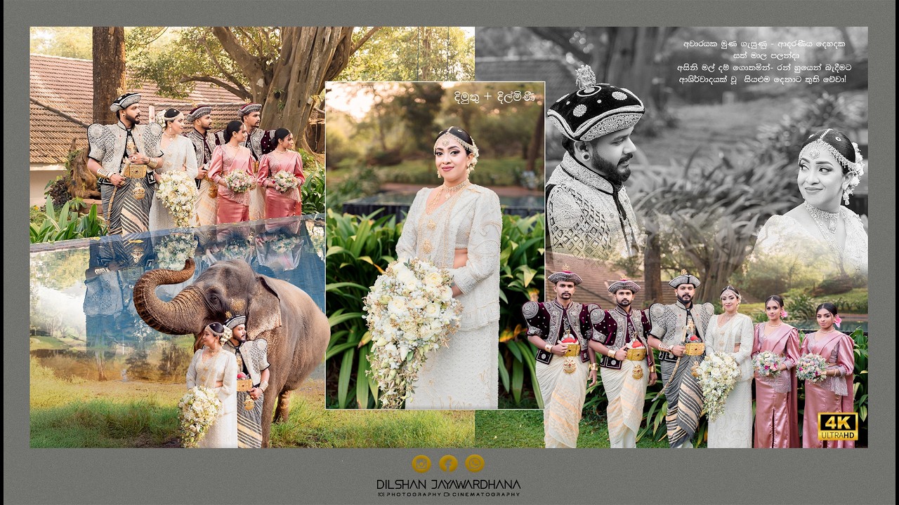 දිමුතු 🤵 ❤️👰‍♀️දිල්මිණී #wedding #weddingfilm #kandyan #sigiriyarock #weddingphotography