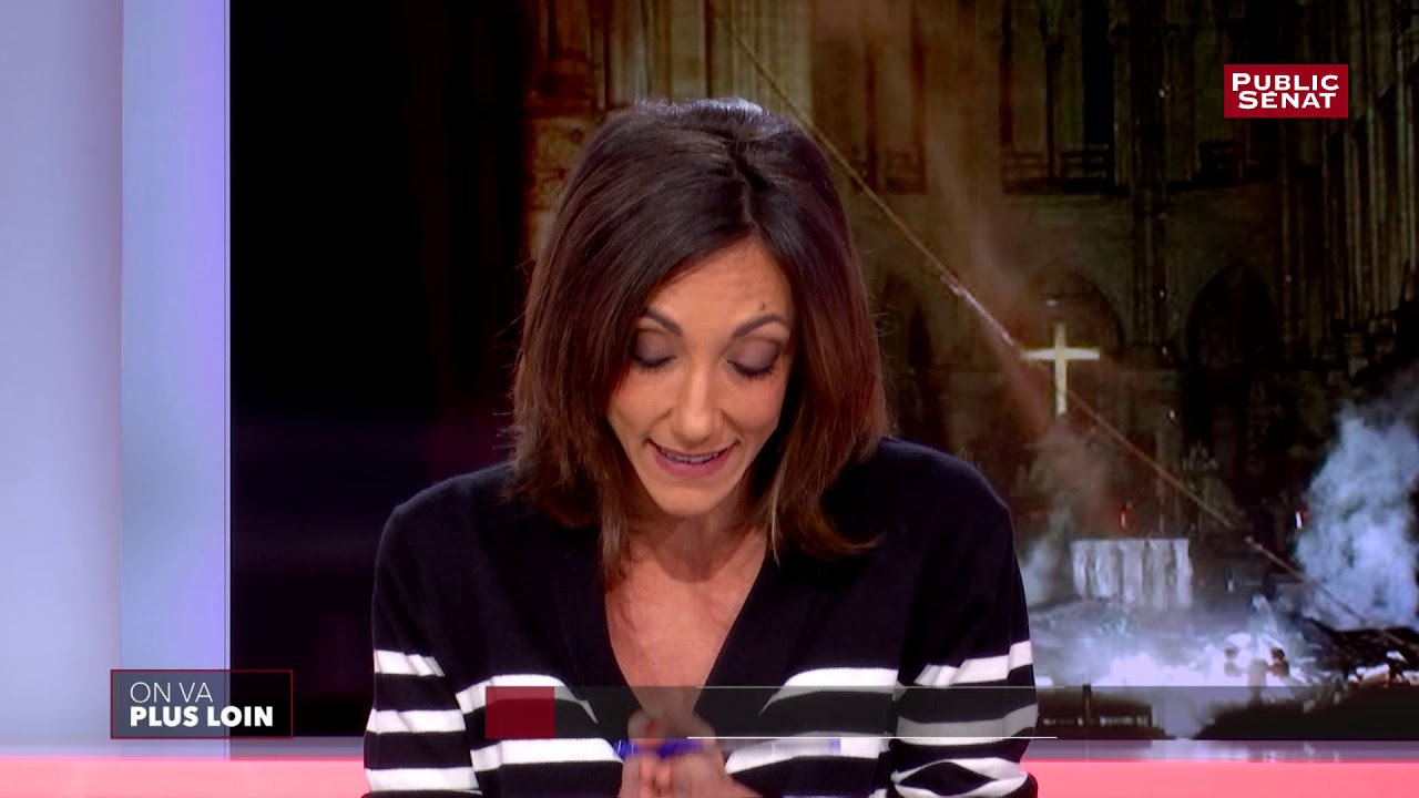 OVPL-Débat sur la reconstruction de Notre-Dame (en intégralité)