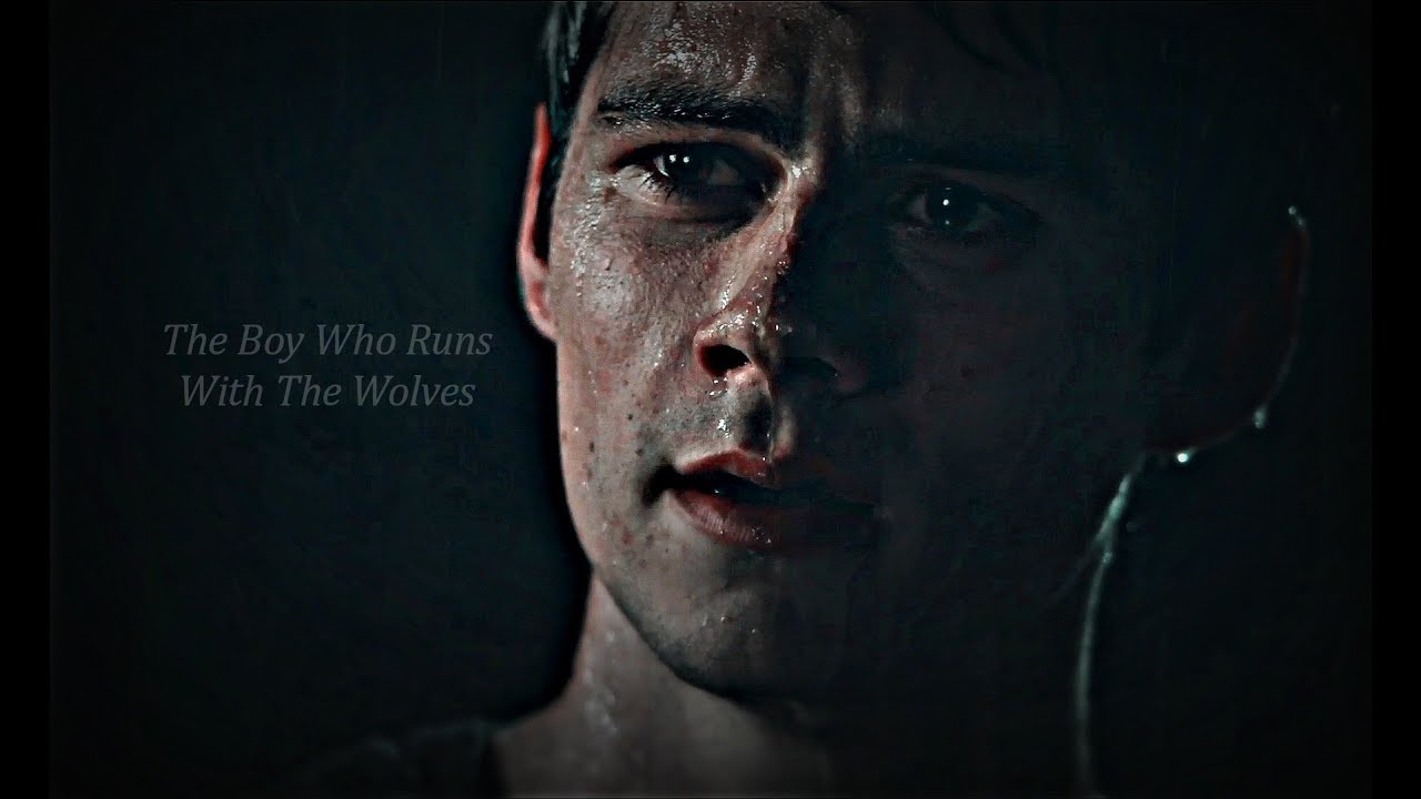 Stiles Stalinski | The Boy Who Runs With The Wolves