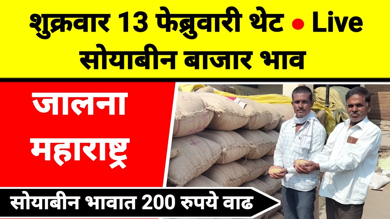 शुक्रवार 13 फेब्रुवारी थेट Live सोयाबीन बाजार भाव जालना महाराष्ट्र || सोयाबीन भावात 200 रुपये वाढ
