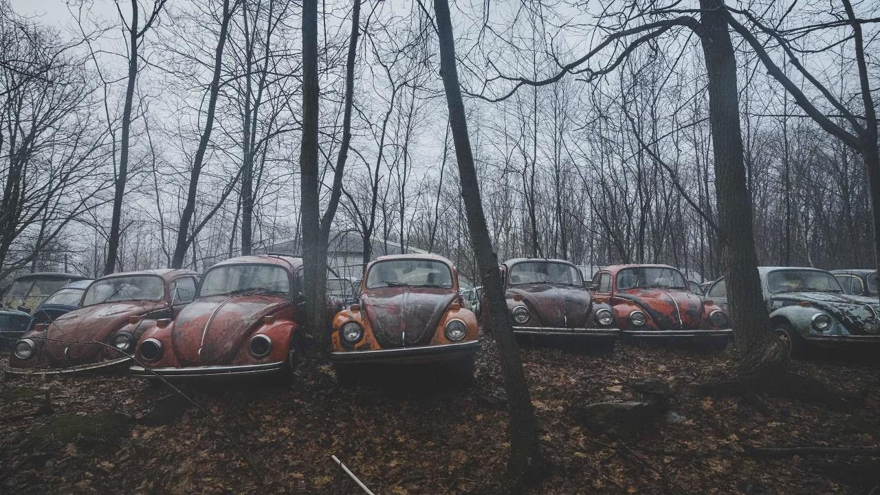 Cimitir uitat plin cu Volkswagen Beetle abandonate în SUA!