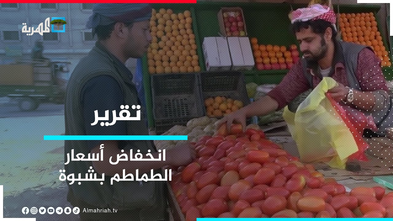 شبوة - انخفاض أسعار الطماطم يكبد المزارعين خسائر فادحة