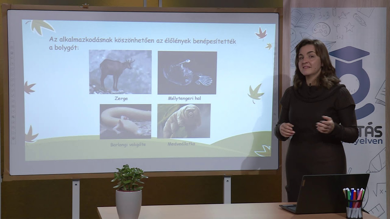 Az élőlények alkalmazkodása a környezeti feltételekhez