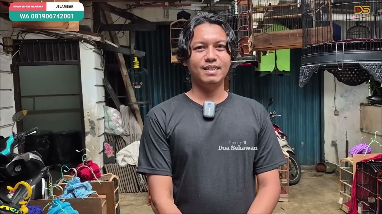 HARGA UGAL UGALAN DITAMBAH BONUSAN GAK ADA YANG NYAMAIN DI INDONESIA‼️BOWO MURAI JELAMBAR