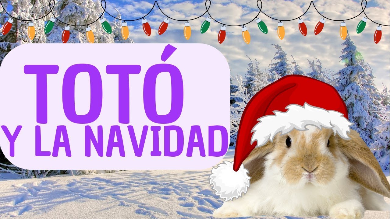 TOTÓ EL CONEJO Y LA NAVIDAD |Cuentos infantiles cortos