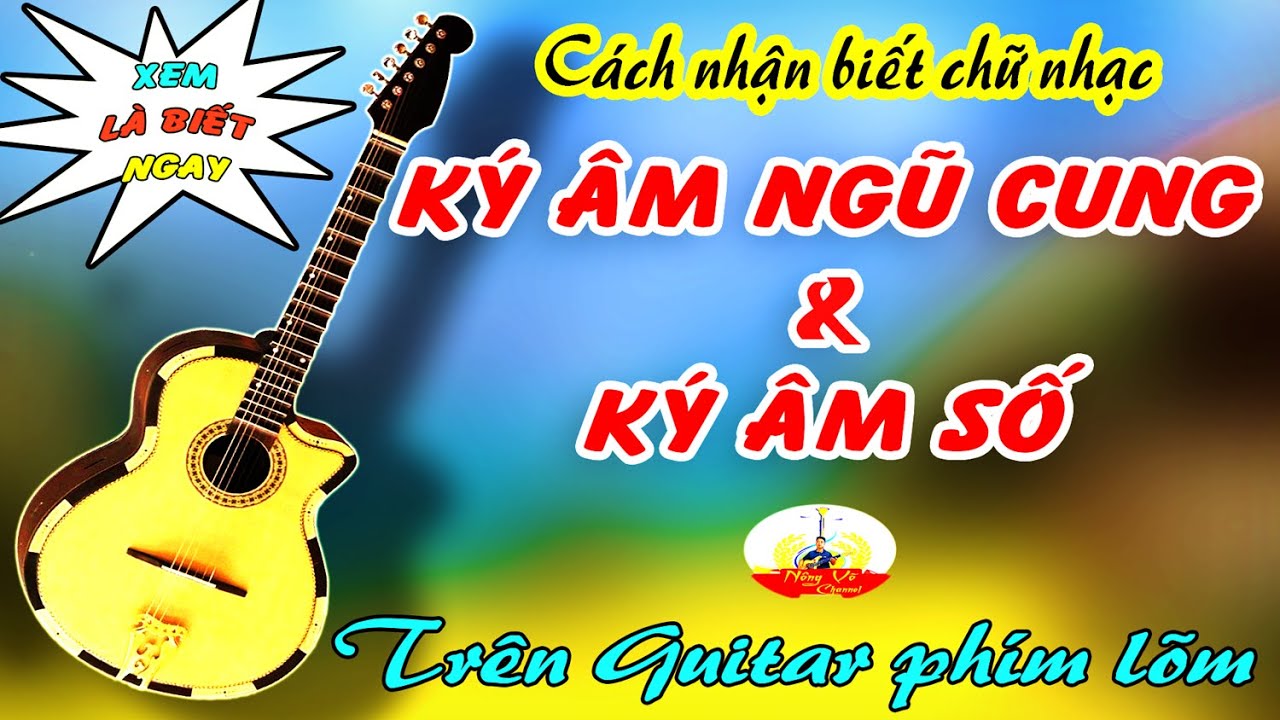 Cách Nhận Biết Ký Âm Ngũ Cung Và Ký Âm Số Trên Guitar Phím Lõm | Tông Đào, Kép, Xề | #04