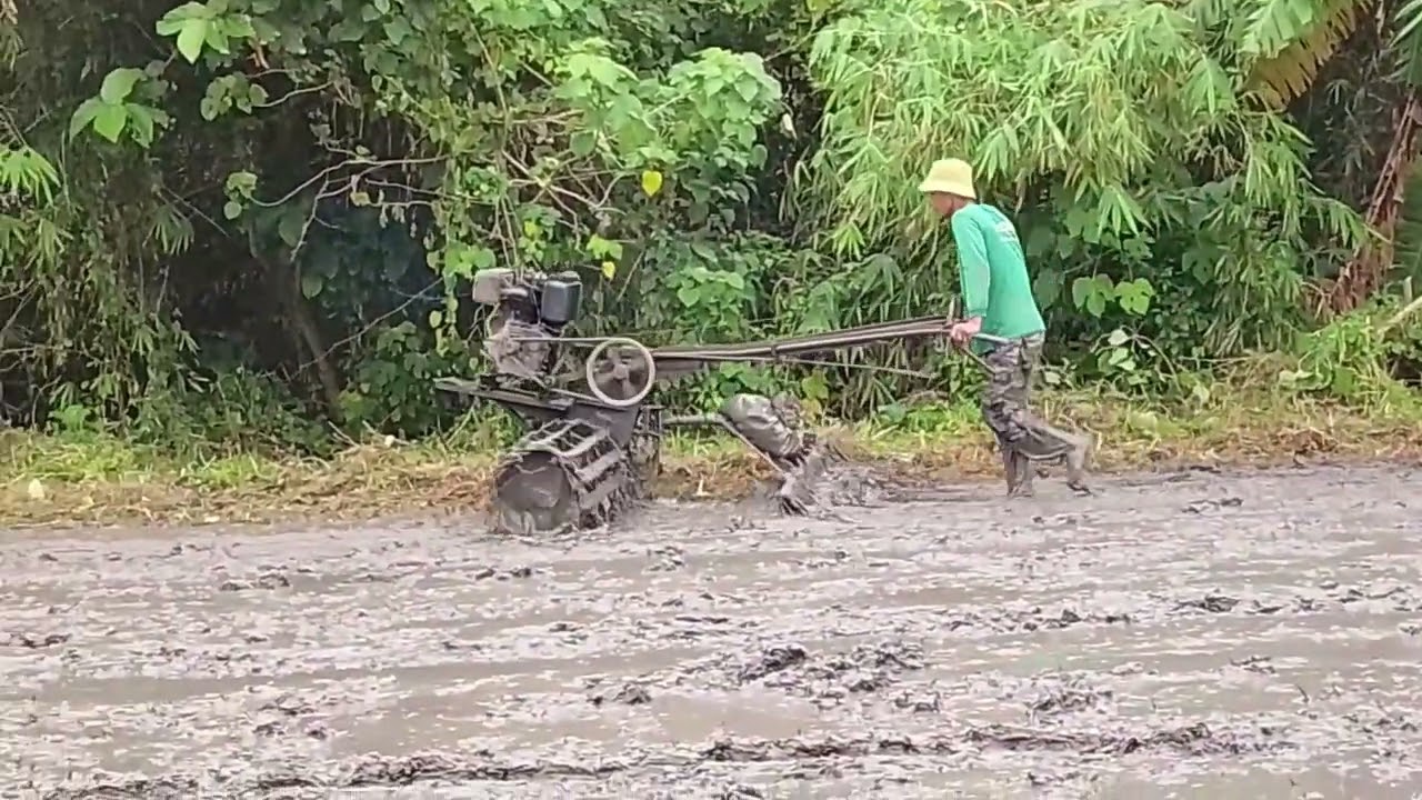 HAND TRACTOR | RICE FIELD PREPARATION | TRACTOR #viral #machinerychannel #trending #farming 